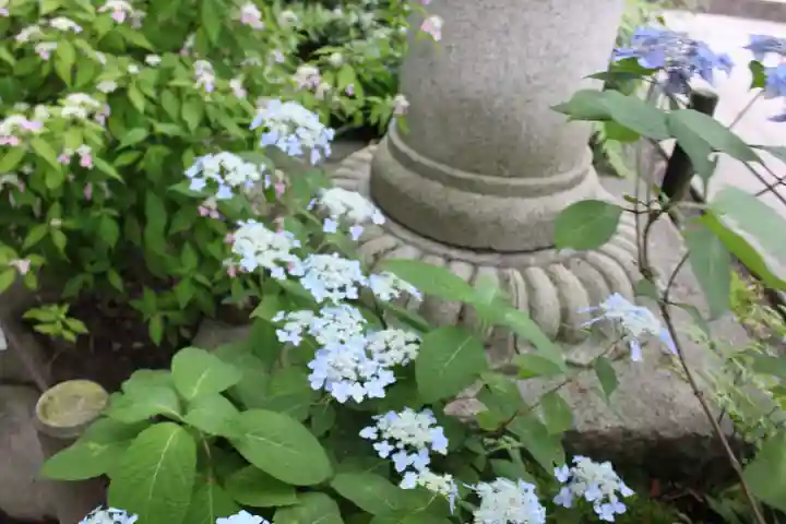 高幡不動尊 金剛寺(東京都)