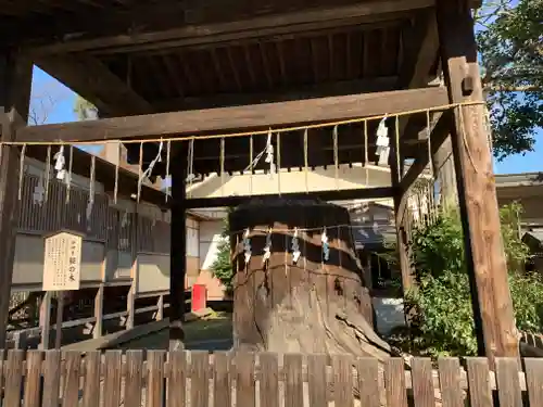 須賀神社の自然