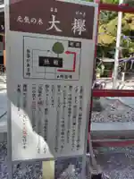 鎮守氷川神社の体験その他