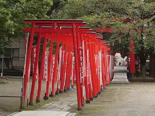 於菊稲荷神社の鳥居