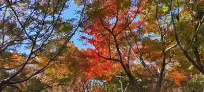 東福禅寺(東福寺)(京都府)