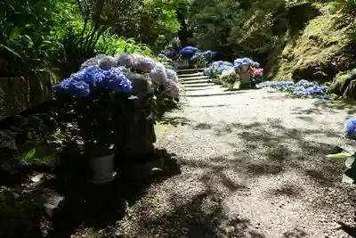 岡寺(龍蓋寺)のその他建物