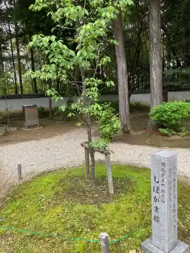 六所神社の自然