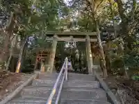 白髭神社の{uncategorized: "未分類", other: "その他", undefined: "問題あり", building: "その他建物", grave: "お墓", sacred_gate: "鳥居", guardian: "狛犬", statue: "像", buddha: "仏像", history: "歴史", nature: "自然", garden: "庭園", animal: "動物", pagoda: "塔", temizu: "手水舎", mountain_gate: "山門・神門", sanctuary: "本殿・本堂", subordinate: "末社・摂社", art: "芸術", scenery: "景色", jizo: "地蔵", ema: "絵馬", goshuin: "御朱印", omikuji: "おみくじ", items: "授与品その他", amulet: "お守り", goshuincho: "御朱印帳", eats: "食事", festival: "お祭り", votive_dance: "神楽", shichigosan: "七五三参", wedding: "結婚式", experience: "体験その他", initially: "初詣", around: "周辺", anti_infection: "感染症対策"}