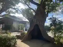 宇美八幡宮(福岡県)