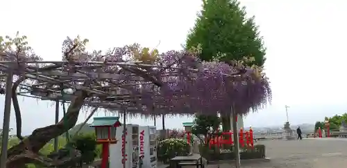 足利織姫神社のその他建物