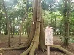 豊満神社の自然