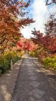 梨木神社(京都府)