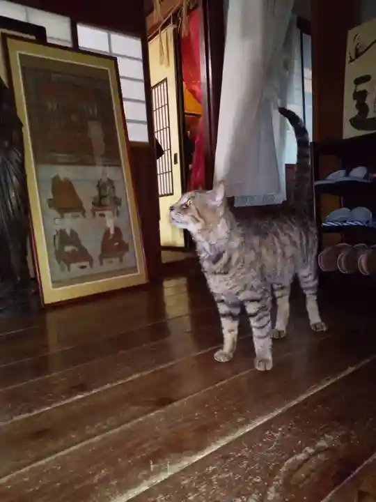 大王寺(石川県)