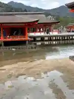 厳島神社の{uncategorized: "未分類", other: "その他", undefined: "問題あり", building: "その他建物", grave: "お墓", sacred_gate: "鳥居", guardian: "狛犬", statue: "像", buddha: "仏像", history: "歴史", nature: "自然", garden: "庭園", animal: "動物", pagoda: "塔", temizu: "手水舎", mountain_gate: "山門・神門", sanctuary: "本殿・本堂", subordinate: "末社・摂社", art: "芸術", scenery: "景色", jizo: "地蔵", ema: "絵馬", goshuin: "御朱印", omikuji: "おみくじ", items: "授与品その他", amulet: "お守り", goshuincho: "御朱印帳", eats: "食事", festival: "お祭り", votive_dance: "神楽", shichigosan: "七五三参", wedding: "結婚式", experience: "体験その他", initially: "初詣", around: "周辺", anti_infection: "感染症対策"}