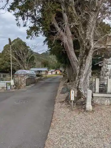 八幡神社（武芸八幡宮）の周辺