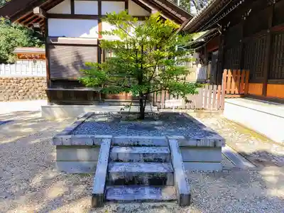 八劔社（野並）の自然