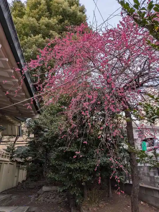荻窪白山神社(東京都)