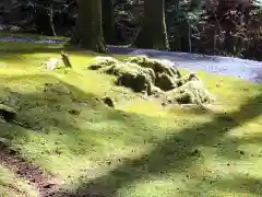 御岩神社の自然