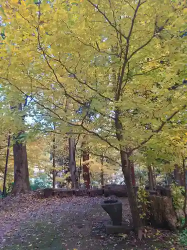 舞岡八幡宮(神奈川県)