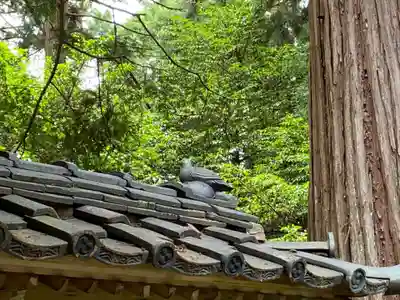 大塩八幡宮(福井県)