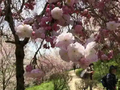 大神神社(奈良県)