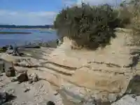 白髭社(飯島白髭社)の周辺