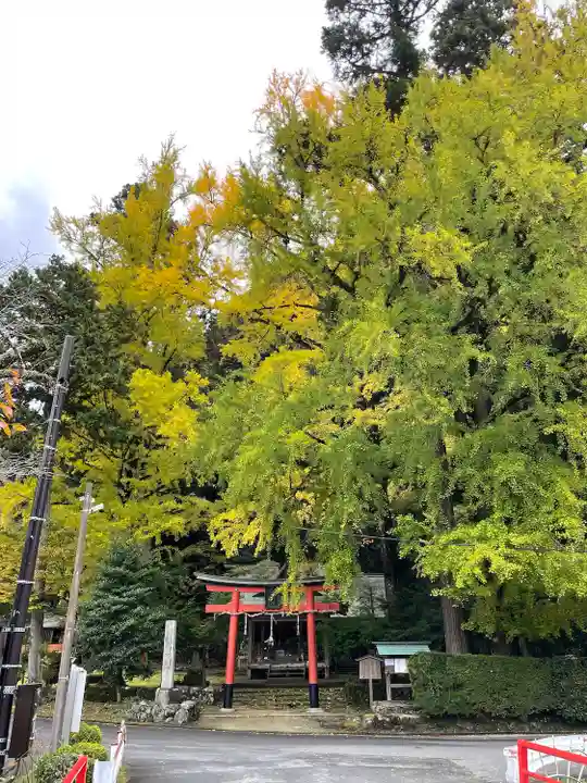 岩戸落葉神社(京都府)