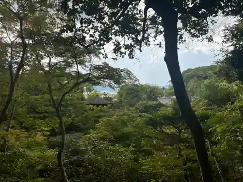 慈照寺（慈照禅寺・銀閣寺）の庭園