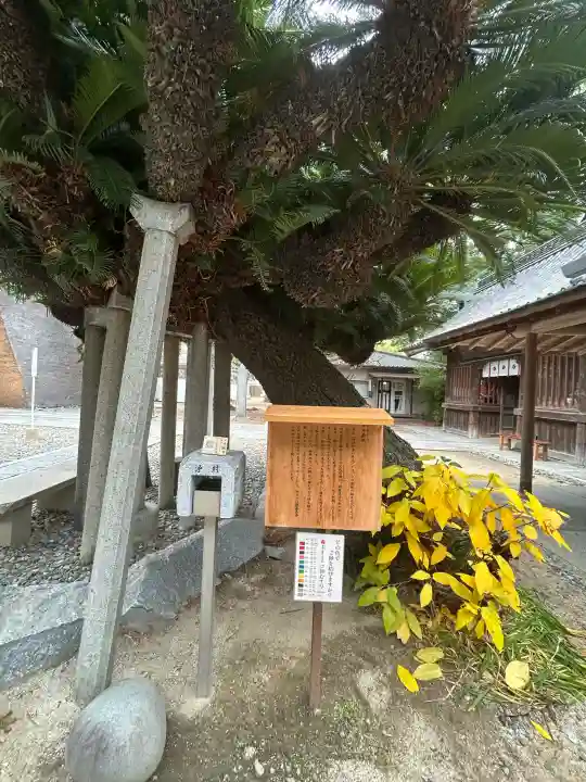 鳥飼八幡宮の{uncategorized: "未分類", other: "その他", undefined: "問題あり", building: "その他建物", grave: "お墓", sacred_gate: "鳥居", guardian: "狛犬", statue: "像", buddha: "仏像", history: "歴史", nature: "自然", garden: "庭園", animal: "動物", pagoda: "塔", temizu: "手水舎", mountain_gate: "山門・神門", sanctuary: "本殿・本堂", subordinate: "末社・摂社", art: "芸術", scenery: "景色", jizo: "地蔵", ema: "絵馬", goshuin: "御朱印", omikuji: "おみくじ", items: "授与品その他", amulet: "お守り", goshuincho: "御朱印帳", eats: "食事", festival: "お祭り", votive_dance: "神楽", shichigosan: "七五三参", wedding: "結婚式", experience: "体験その他", initially: "初詣", around: "周辺", anti_infection: "感染症対策"}