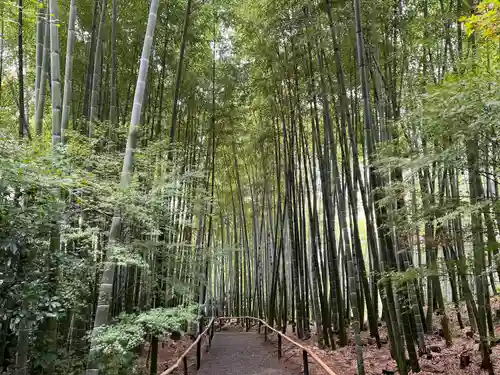 高台寺（高台寿聖禅寺・高臺寺）(京都府)