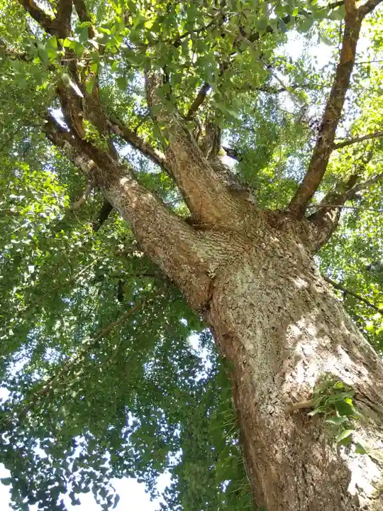 瑞源寺(福井県)