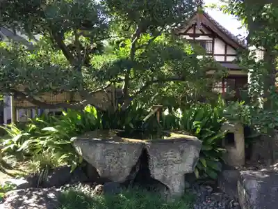 蓮花寺の手水舎