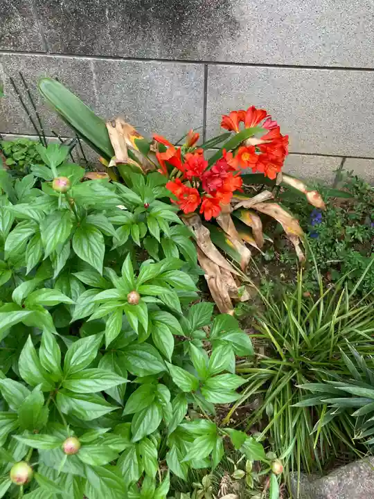 聖輪寺(東京都)