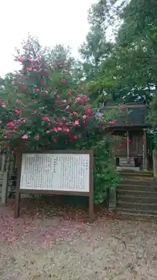 中嶋神社(兵庫県)