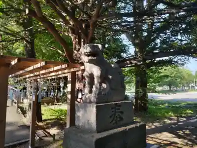 亀田八幡宮の狛犬