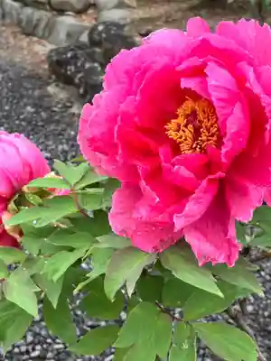 真言宗　善通寺派　薬王寺(香川県)