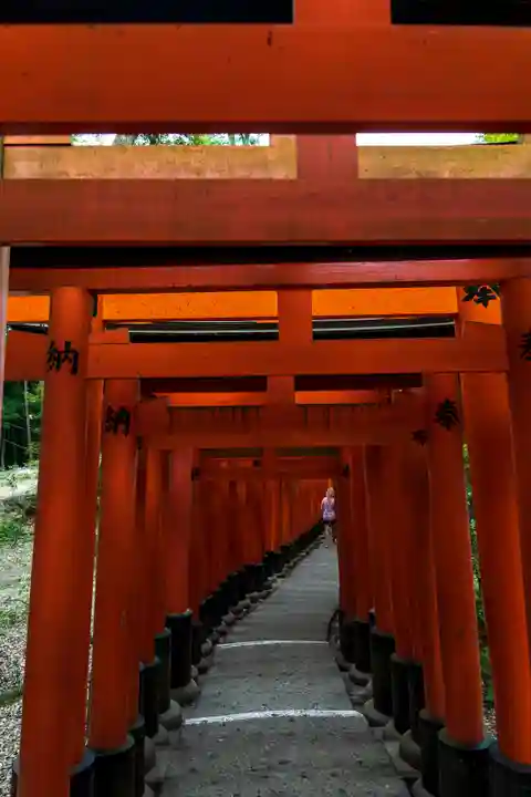 伏見稲荷大社(京都府)