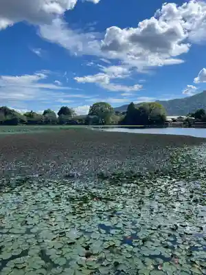 大覚寺(京都府)