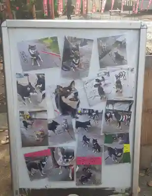 上目黒氷川神社(東京都)