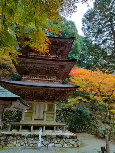 横蔵寺の建物その他