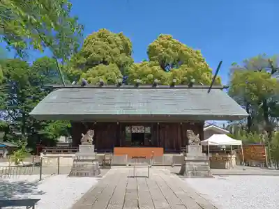 所澤神明社(埼玉県)