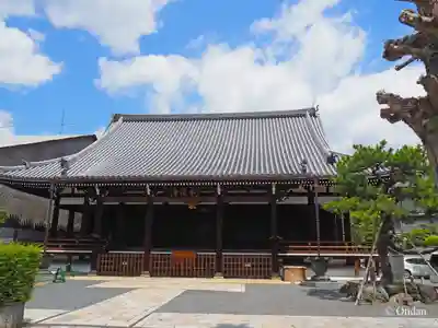 本隆寺（本妙興隆寺）(京都府)