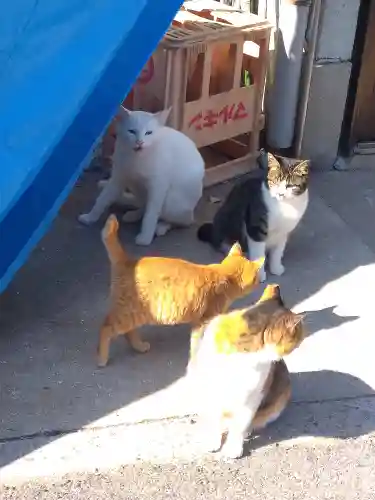 包ケ浦神社の動物