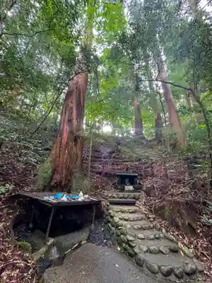 天岩戸神社(宮崎県)