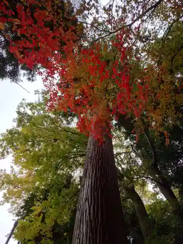 立志神社(滋賀県)