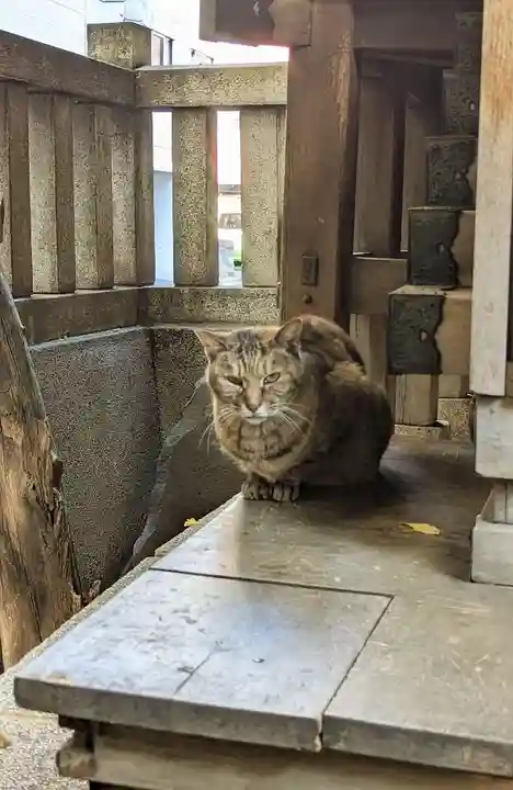 小野照崎神社の動物
