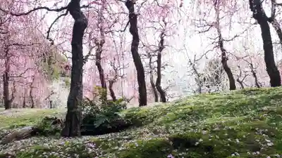 城南宮(京都府)