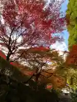 正伝護国禅寺(正伝寺・正傳寺)(京都府)