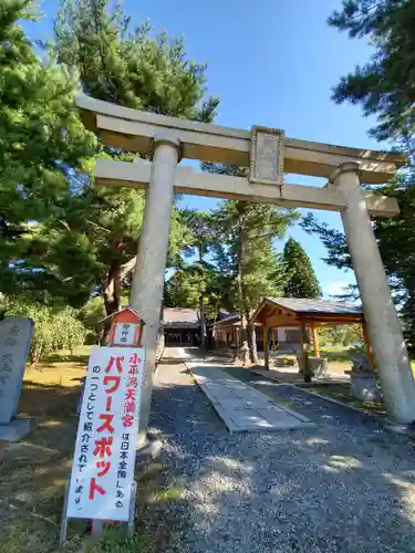 小平潟天満宮の鳥居