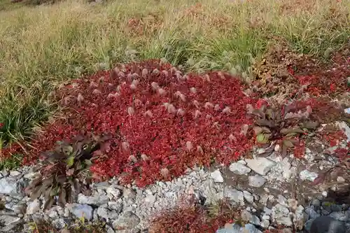 雄山神社峰本社(富山県)