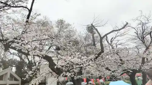 相国寺（相国承天禅寺）(京都府)