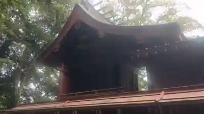 麻賀多神社(千葉県)