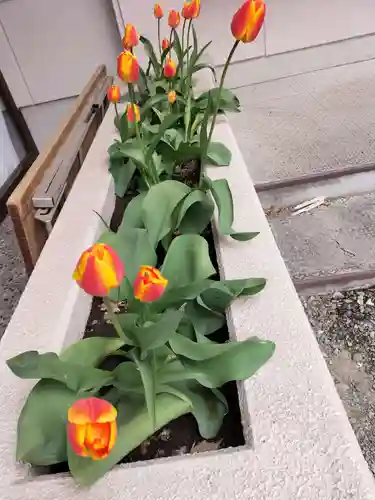 新琴似神社の庭園