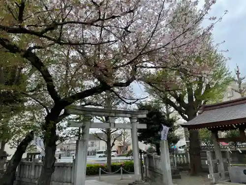 安方神社の鳥居